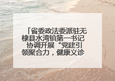 省委政法委派驻无棣县水湾镇第一书记 协调开展“党建引领聚合力，健康义诊惠乡亲”义诊活动