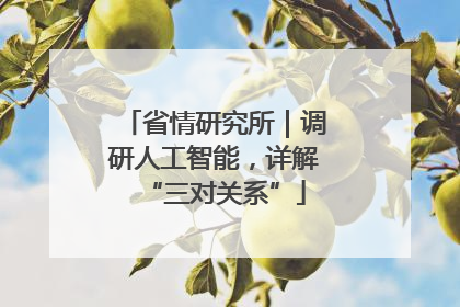 省情研究所｜调研人工智能，详解“三对关系”