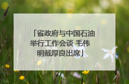 省政府与中国石油举行工作会谈 毛伟明戴厚良出席