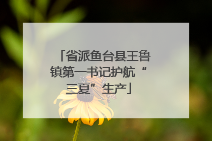 省派鱼台县王鲁镇第一书记护航“三夏”生产