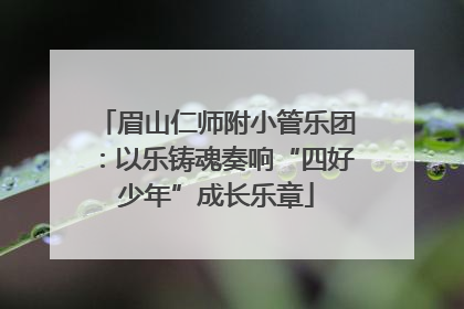 眉山仁师附小管乐团：以乐铸魂奏响“四好少年”成长乐章