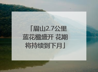 眉山2.7公里蓝花楹盛开 花期将持续到下月