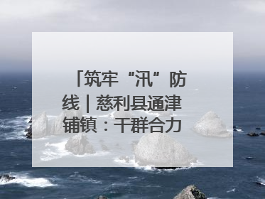 筑牢“汛”防线｜慈利县通津铺镇：干群合力抗击洪灾