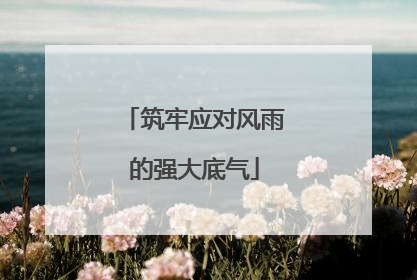 筑牢应对风雨的强大底气