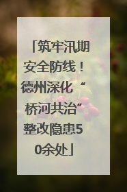 筑牢汛期安全防线！德州深化“桥河共治”整改隐患50余处