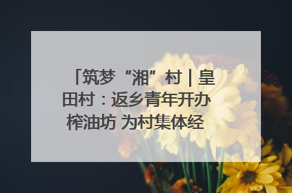 筑梦“湘”村｜皇田村：返乡青年开办榨油坊 为村集体经济“加油”