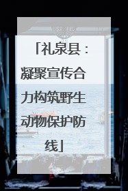 礼泉县：凝聚宣传合力构筑野生动物保护防线