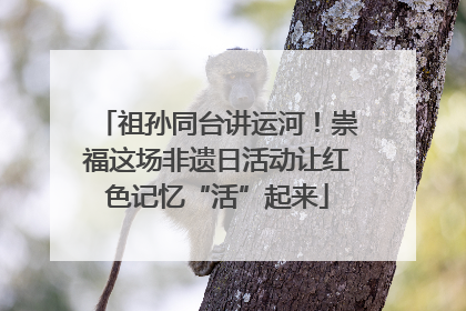 祖孙同台讲运河！崇福这场非遗日活动让红色记忆“活”起来