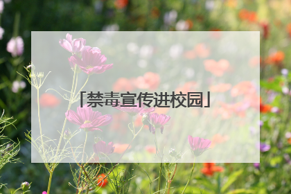 禁毒宣传进校园