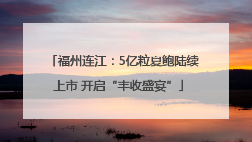 福州连江：5亿粒夏鲍陆续上市 开启“丰收盛宴”