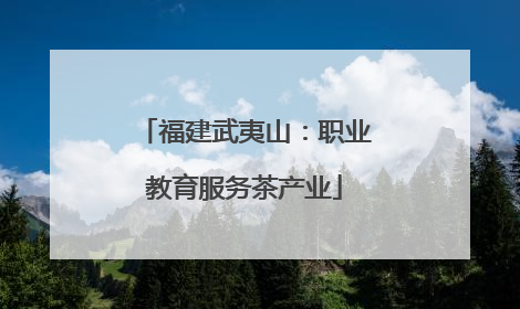 福建武夷山：职业教育服务茶产业