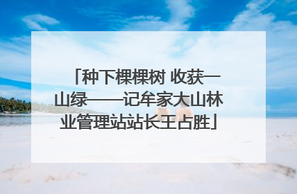 种下棵棵树 收获一山绿——记牟家大山林业管理站站长王占胜