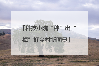 科技小院“种”出“梅”好乡村新图景