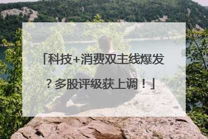 科技+消费双主线爆发？多股评级获上调！