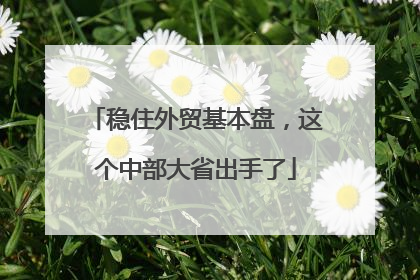 稳住外贸基本盘，这个中部大省出手了