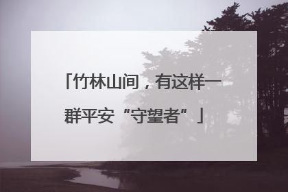 竹林山间，有这样一群平安“守望者”