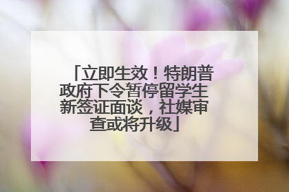 立即生效！特朗普政府下令暂停留学生新签证面谈，社媒审查或将升级