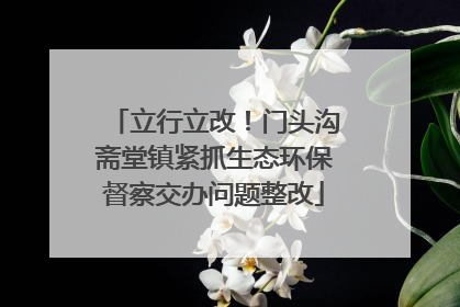 立行立改！门头沟斋堂镇紧抓生态环保督察交办问题整改