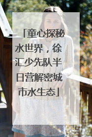 童心探秘水世界，徐汇少先队半日营解密城市水生态