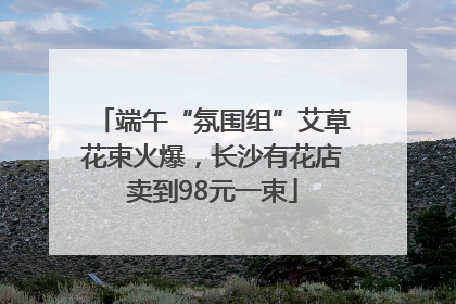 端午“氛围组”艾草花束火爆，长沙有花店卖到98元一束