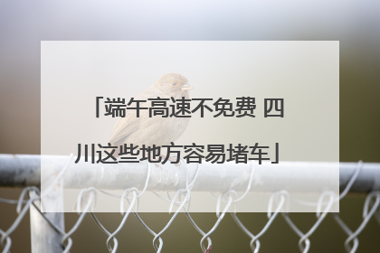 端午高速不免费 四川这些地方容易堵车