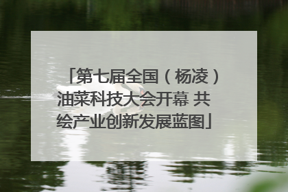 第七届全国（杨凌）油菜科技大会开幕 共绘产业创新发展蓝图