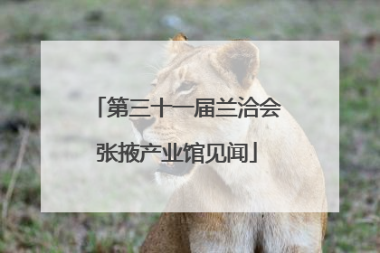 第三十一届兰洽会张掖产业馆见闻