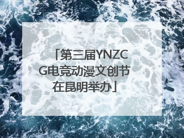 第三届YNZCG电竞动漫文创节在昆明举办