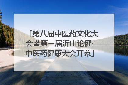 第八届中医药文化大会暨第三届沂山论健·中医药健康大会开幕