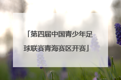 第四届中国青少年足球联赛青海赛区开赛