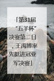第31届“五羊杯”决赛第二日，王禹博率先挺进冠亚军决赛