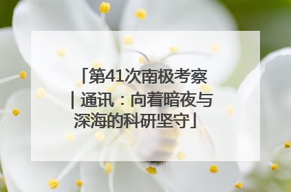 第41次南极考察｜通讯：向着暗夜与深海的科研坚守
