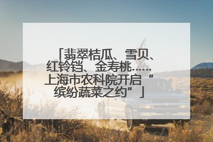 翡翠桔瓜、雪贝、红铃铛、金寿桃……上海市农科院开启“缤纷蔬菜之约”