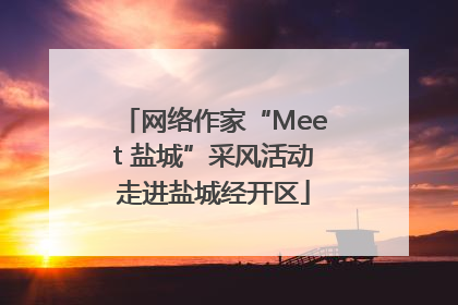 网络作家“Meet 盐城”采风活动走进盐城经开区