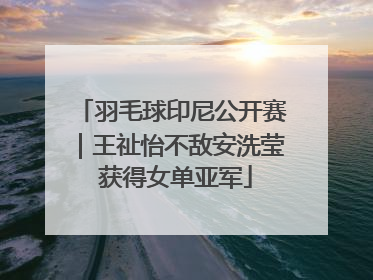 羽毛球印尼公开赛｜王祉怡不敌安洗莹 获得女单亚军