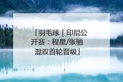 羽毛球｜印尼公开赛：程星/张驰混双首轮晋级