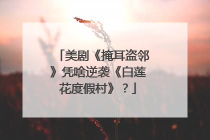 美剧《掩耳盗邻》凭啥逆袭《白莲花度假村》？