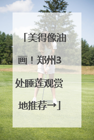 美得像油画！郑州3处睡莲观赏地推荐→