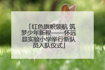 红色旗帜领航 筑梦少年新程——怀远县实验小学举行新队员入队仪式