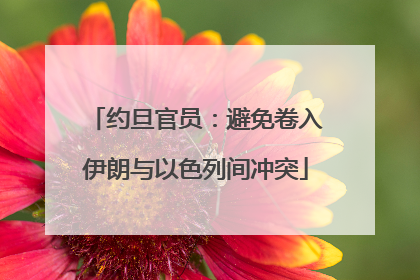 约旦官员：避免卷入伊朗与以色列间冲突