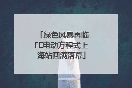 绿色风暴再临 FE电动方程式上海站圆满落幕