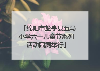 绵阳市盐亭县五马小学六一儿童节系列活动圆满举行