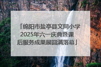 绵阳市盐亭县文同小学2025年六一庆典暨课后服务成果展圆满落幕