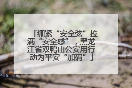 绷紧“安全弦”拉满“安全感”，黑龙江省双鸭山公安用行动为平安“加码”