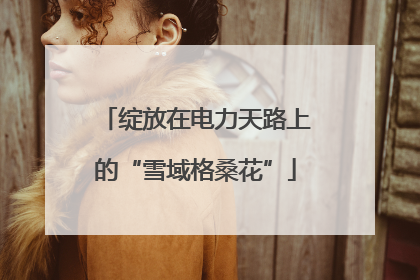 绽放在电力天路上的“雪域格桑花”