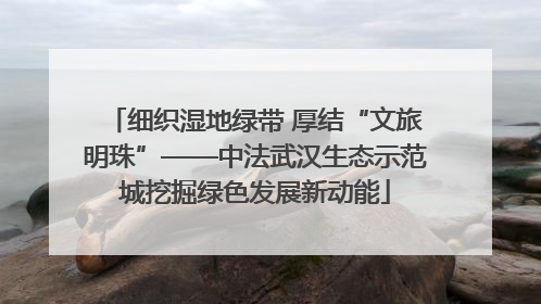 细织湿地绿带 厚结“文旅明珠”——中法武汉生态示范城挖掘绿色发展新动能