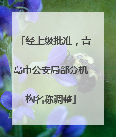 经上级批准，青岛市公安局部分机构名称调整