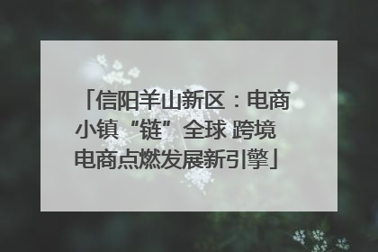 信阳羊山新区：电商小镇“链”全球 跨境电商点燃发展新引擎