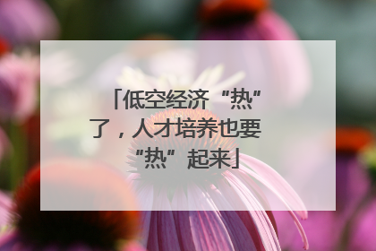 低空经济“热”了，人才培养也要“热”起来