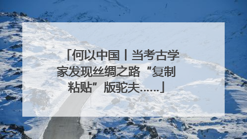 何以中国丨当考古学家发现丝绸之路“复制粘贴”版驼夫……